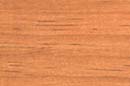 CABOT STAIN 8121 AEROSOL GOLDEN OAK WOOD  STAIN SIZE:SPRAY.